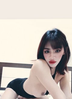 Alice Ladyboy - Masajista in Dammam Photo 11 of 11