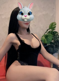 Alice ladyboy - Transsexual escort in Phuket Photo 16 of 18