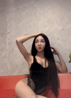 Alice ladyboy - Transsexual escort in Phuket Photo 18 of 18