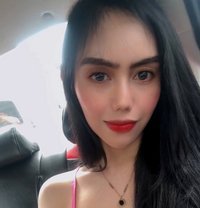 BabyGirl_Alice - Transsexual escort in Dubai