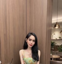 BabyGirl_Alice🏳️⚧️ - Acompañantes transexual in Dubai