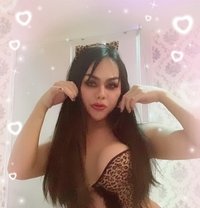 Alice Ladyboy thailand - Acompañantes transexual in Riyadh