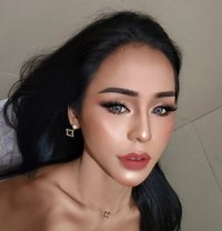 Alice - Transsexual escort in Bangkok