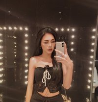 Alice - Transsexual escort in Bangkok