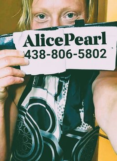 Alice Pearl - escort in Montreal Photo 23 of 24