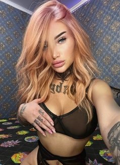 Alice Russian - escort in Phuket Photo 8 of 12