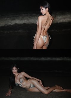 Alice - escort in Bangkok Photo 2 of 15