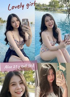 Alice - escort in Chiang Mai Photo 7 of 7