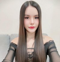 🦋Alice🦋 - escort in Riyadh