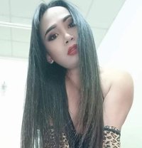Alice - Transsexual escort in Al Manama