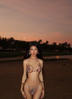 Alice - Transsexual escort in Bangkok Photo 1 of 8