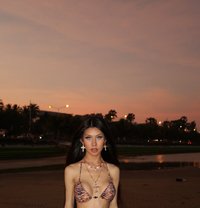 Alice - Transsexual escort in Bangkok