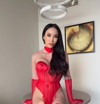 Alice - Transsexual escort in Hong Kong