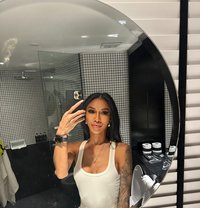 Alice - Transsexual escort in Pattaya