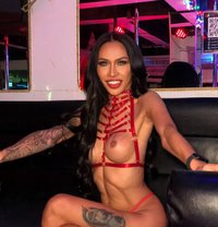 Alice - Transsexual escort in Pattaya