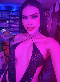 Alice - Acompañantes transexual in Pattaya Photo 9 of 12