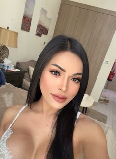 Alice thai ladyboy - Acompañantes transexual in Dubai Photo 16 of 16
