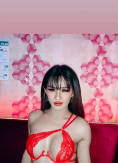 Alice Thailand Ladyboy 🇹🇭 - Transsexual escort in Doha Photo 11 of 13