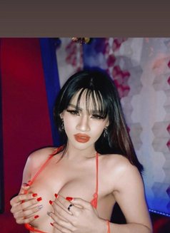 Alice Thailand Ladyboy 🇹🇭 - Transsexual escort in Doha Photo 12 of 13