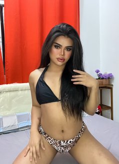Alice (Threesome Sex) - Transsexual escort in Muscat Photo 8 of 12