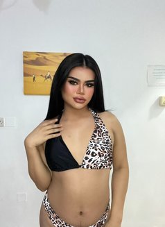 Alice (Threesome Sex) - Transsexual escort in Muscat Photo 10 of 12
