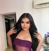 Alice (Threesome Sex) - Acompañantes transexual in Muscat