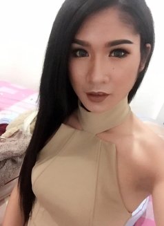 Alice999 - Transsexual escort in Phuket Photo 2 of 3
