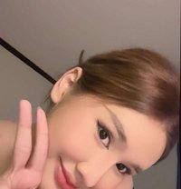 Alicha - Acompañantes transexual in Phuket