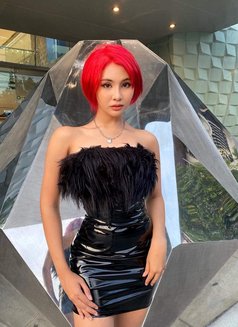 Alicha - Acompañantes transexual in Phuket Photo 3 of 14