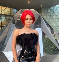 Alicha - Acompañantes transexual in Phuket