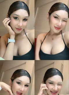 Alicha - Acompañantes transexual in Phuket Photo 13 of 14