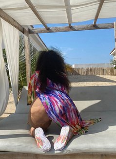 Alicia - escort in Erbil Photo 2 of 4