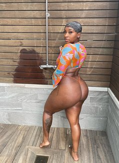 Cynthia - escort in Erbil Photo 2 of 6