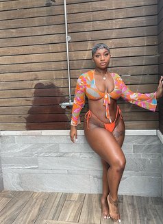 Cynthia - escort in Erbil Photo 3 of 6