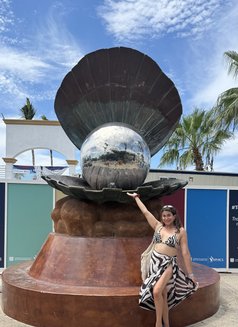 Ts Alicia XL - Transsexual escort in Perth Photo 17 of 20