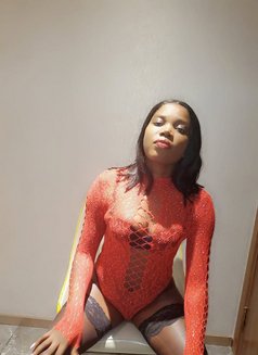 Alicia1059 - escort in Shanghai Photo 2 of 3