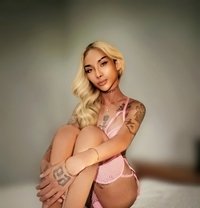 Alie Alie Be Top - Transsexual escort in Bangkok
