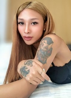 Alie Alie Be Top - Transsexual escort in Bangkok Photo 2 of 2