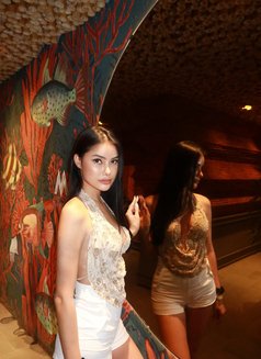 Alie X - escort in Phuket Photo 11 of 11