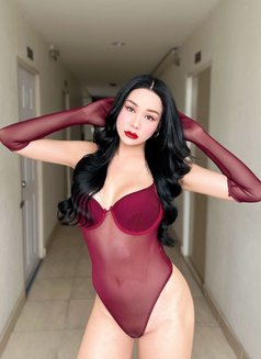 Alin🇨🇳🇺🇸 New Here - Transsexual escort in Hong Kong Photo 21 of 22