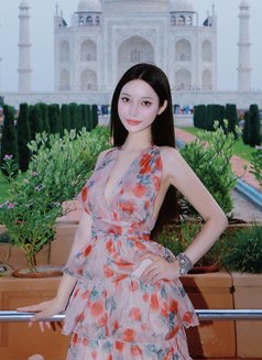 Alin - escort in Bangkok Photo 24 of 24