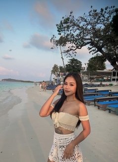 Alin - escort in Ko Samui Photo 4 of 7