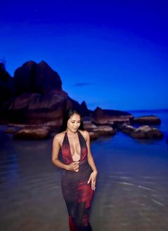 Alin - escort in Ko Samui Photo 14 of 14