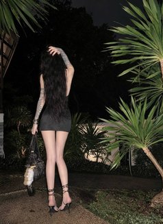 Alina - escort in Bali Photo 6 of 11