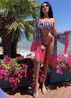 Alina - escort in Riyadh Photo 1 of 9
