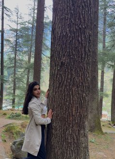 Alina Shaikh - Transsexual escort in Mumbai Photo 28 of 30