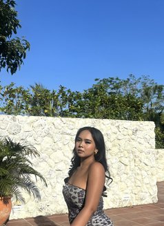 ALINE Best Deep Throat GFE - escort in Bali Photo 3 of 30