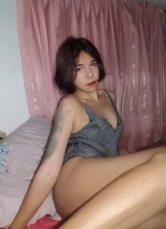 Alinecot - Transsexual escort in Phuket Photo 4 of 5