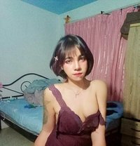 Alinecot - Transsexual escort in Phuket