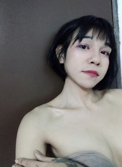 Alinecot - Transsexual escort in Phuket Photo 6 of 8
